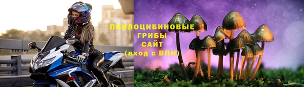 бошки Горняк