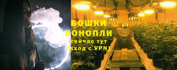 бошки Горняк