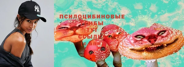 ALPHA PVP Горно-Алтайск