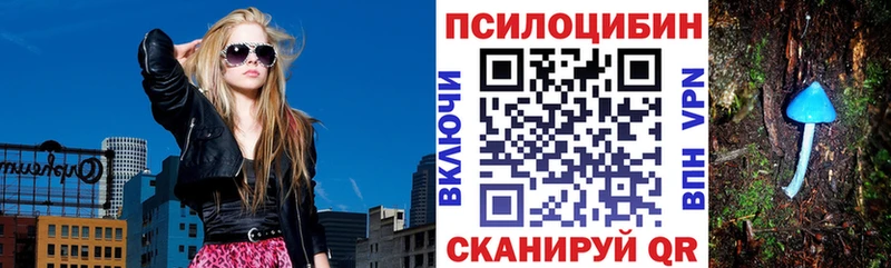 закладки  Партизанск  Псилоцибиновые грибы MAGIC MUSHROOMS 